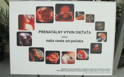 embryo výstava